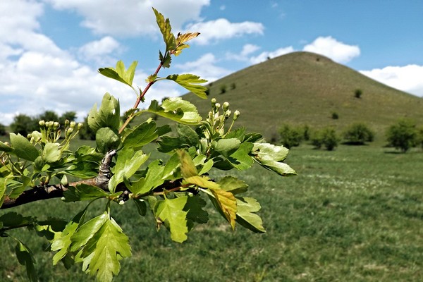 Fotostepkak7